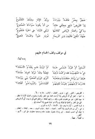 ديوان المتنبي الموثق