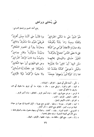 ديوان المتنبي الموثق