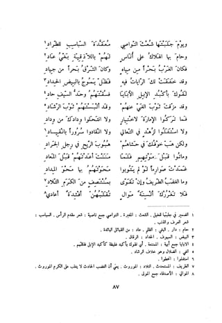 ديوان المتنبي الموثق