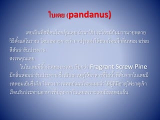 ใบเตย (pandanus)
เตยเป็นพืชที่คนไทยคุ้นเคย นำมำใช้ประโยชน์กันมำกมำยหลำย
วิธีตั้งแต่โบรำณ โดยเฉพำะกำรนำมำปรุงแต่งให้ขนมไทยมีกลิ่นหอม อร่อย
สีสันน่ำรับประทำน
สรรพคุณเตย
ในใบเตยมีน้ำมันหอมระเหย เรียกว่ำ Fragrant Screw Pine
มีกลิ่นหอมน่ำรับประทำน ซึ่งเป็นสำเหตุให้อำหำรที่ใส่น้ำที่คั้นจำกใบเตยมี
รสหอมเย็นชื่นใจ ในทำงกำรแพทย์แผนไทยแนะนำให้ผู้ที่มีธำตุไฟธำตุเจ้ำ
เรือนรับประทำนอำหำรที่ปรุงจำกใบเตยเพรำะเตยมีรสหอมเย็น
 