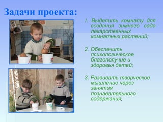 Задачи проекта:
1. Выделить комнату для
создания зимнего сада
лекарственных
комнатных растений;
2. Обеспечить
психологическое
благополучие и
здоровья детей;
3. Развивать творческое
мышление через
занятия
познавательного
содержания;
 
