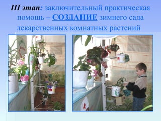 III этап: заключительный практическая
помощь – СОЗДАНИЕ зимнего сада
лекарственных комнатных растений
 