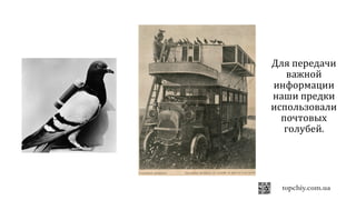 Для передачи
важной
информации
наши предки
использовали
почтовых
голубей.
 