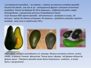 авокадо | PPT