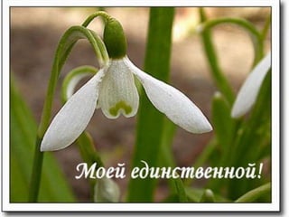 с праздником