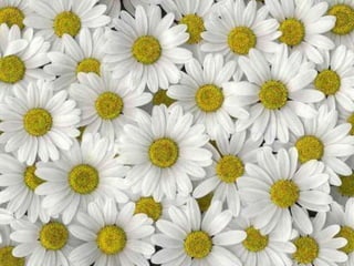 с праздником