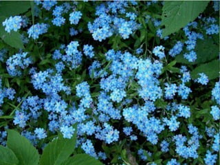 с праздником