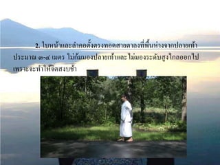 2. ใบหน้าและลาคอตั้งตรงทอดสายตาลงที่พื้นห่างจากปลายเท้า
ประมาณ ๓-๔ เมตร ไม่ก้มมองปลายเท้าและไม่มองระดับสูงไกลออกไป
เพราะจะทาให้จิตสงบช้า
 