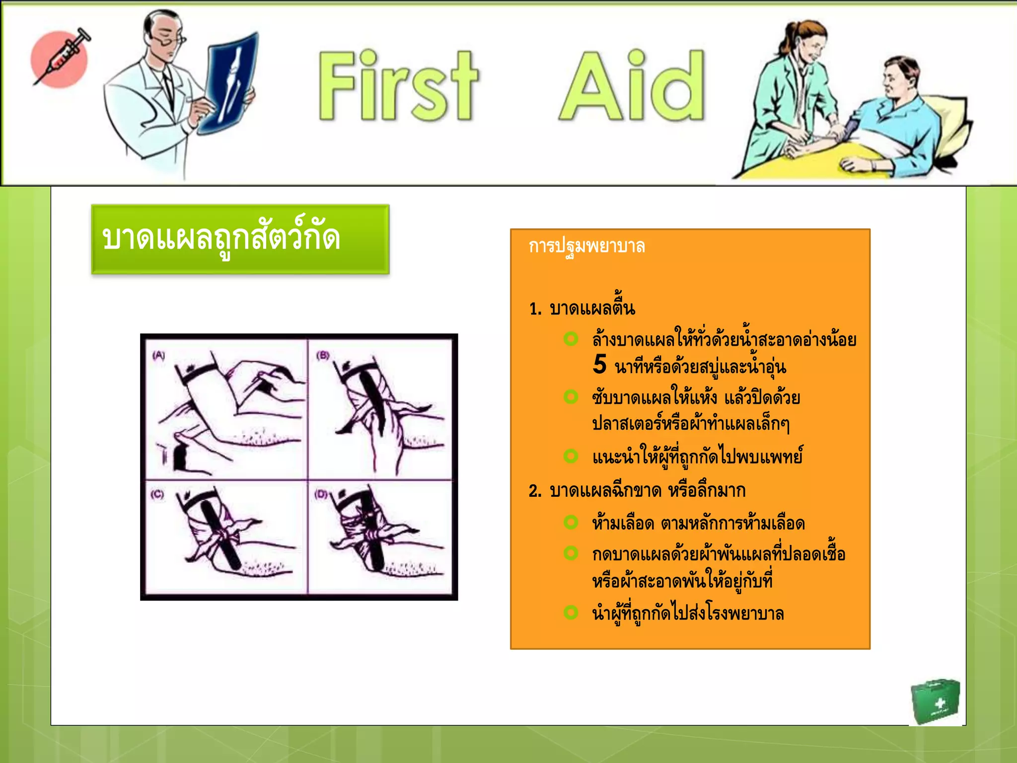 บาดแผลถูกสัตว์กัด การปฐมพยาบาล
1. บาดแผลตื้น
 ล้างบาดแผลให้ทั่วด้วยน้าสะอาดอ่างน้อย
5 นาทีหรือด้วยสบู่และน้าอุ่น
 ซับบาดแผลให้แห้ง แล้วปิดด้วย
ปลาสเตอร์หรือผ้าทาแผลเล็กๆ
 แนะนาให้ผู้ที่ถูกกัดไปพบแพทย์
2. บาดแผลฉีกขาด หรือลึกมาก
 ห้ามเลือด ตามหลักการห้ามเลือด
 กดบาดแผลด้วยผ้าพันแผลที่ปลอดเชื้อ
หรือผ้าสะอาดพันให้อยู่กับที่
 นาผู้ที่ถูกกัดไปส่งโรงพยาบาล
 