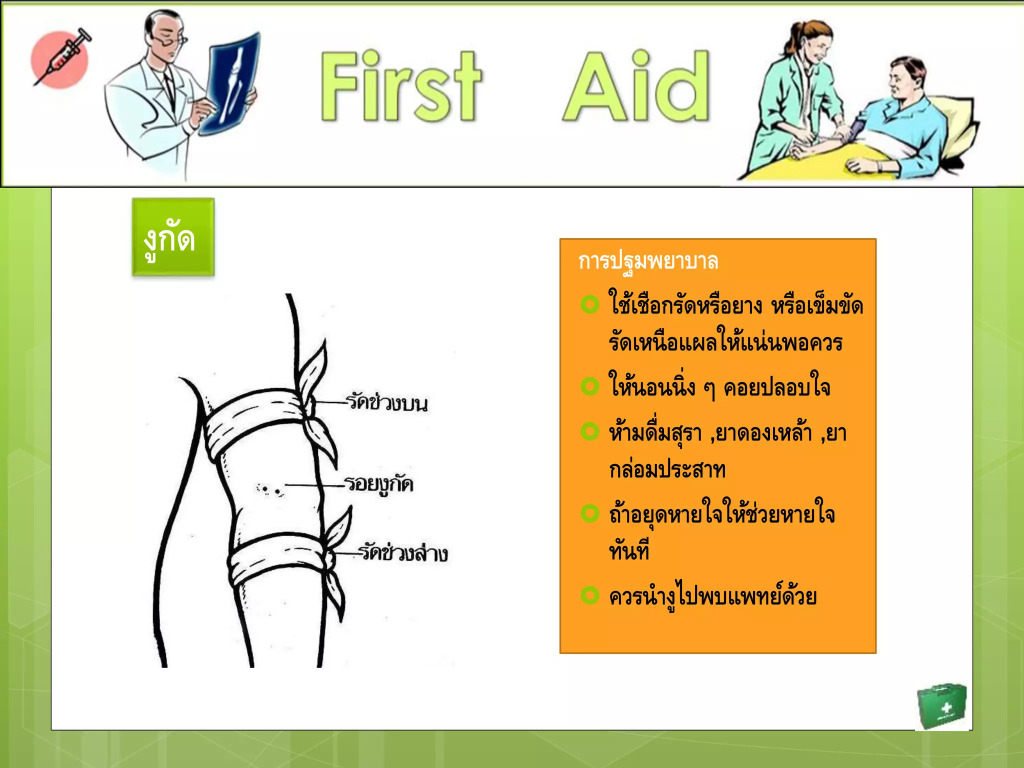 งูกัด การปฐมพยาบาล
 ใช้เชือกรัดหรือยาง หรือเข็มขัด
รัดเหนือแผลให้แน่นพอควร
 ให้นอนนิ่ง ๆ คอยปลอบใจ
 ห้ามดื่มสุรา ,ยาดองเหล้า ,ยา
กล่อมประสาท
 ถ้าอยุดหายใจให้ช่วยหายใจ
ทันที
 ควรนางูไปพบแพทย์ด้วย
 