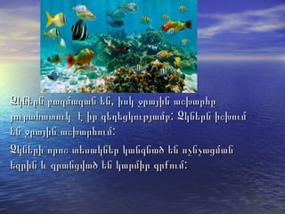 Ձկներն բազմազան են, իսկ ջրային աշխարհըՁկներն բազմազան են, իսկ ջրային աշխարհը
յուրահատուկ է իր գեղեցկությամբ: Ձկներն իշխումյուրահատուկ է իր գեղեցկությամբ: Ձկներն իշխում
են ջրային աշխարհում:են ջրային աշխարհում:
Ձկների որոշ տեսակներ կանգնած են ոչնչացմանՁկների որոշ տեսակներ կանգնած են ոչնչացման
եզրին և գրանցված են կարմիր գրքում:եզրին և գրանցված են կարմիր գրքում:
 