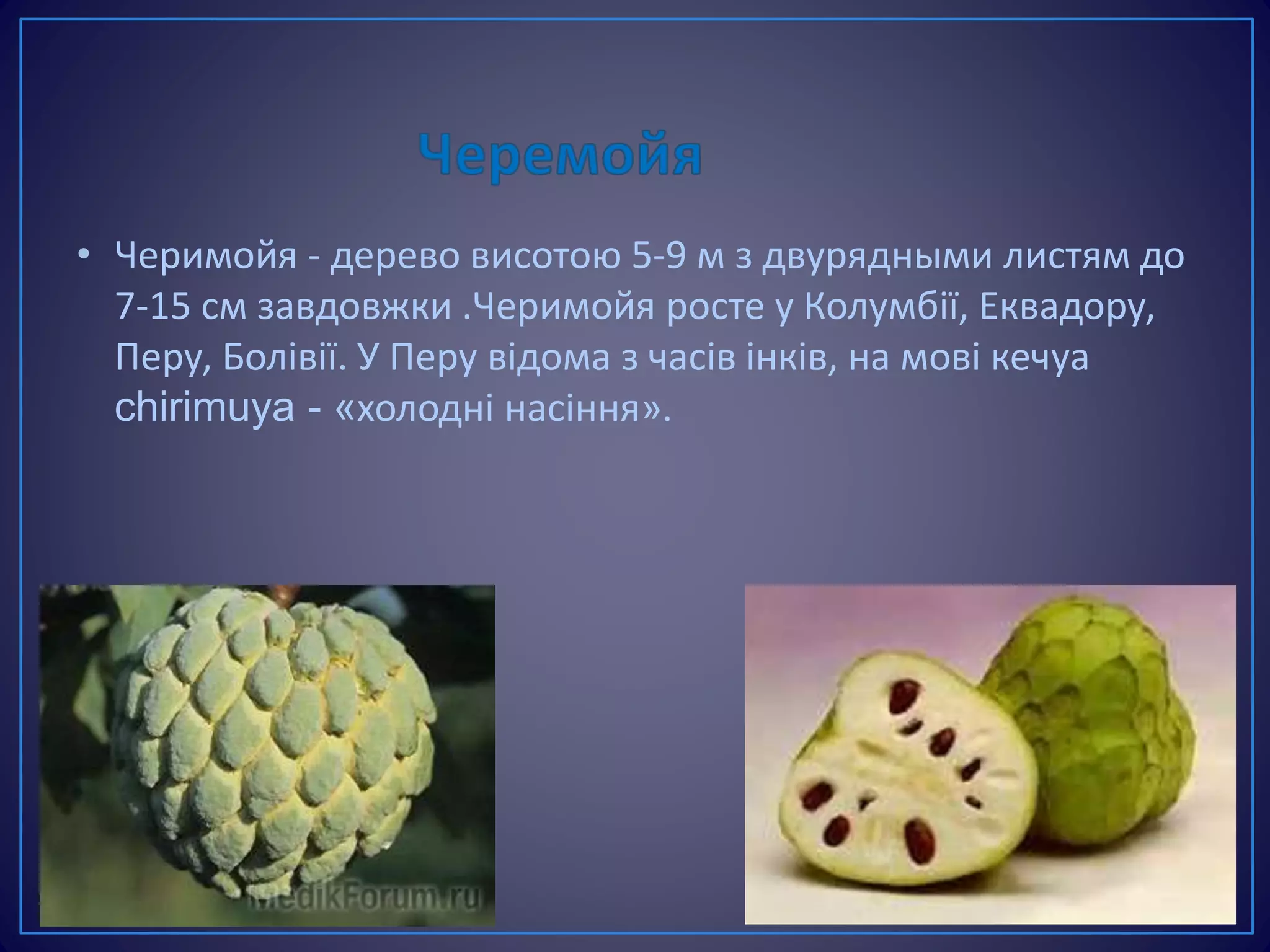 • Черимойя - дерево висотою 5-9 м з двурядными листям до
7-15 см завдовжки .Черимойя росте у Колумбії, Еквадору,
Перу, Болівії. У Перу відома з часів інків, на мові кечуа
chirimuya - «холодні насіння».
 