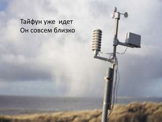 Тайфун уже идет
Он совсем близко
 