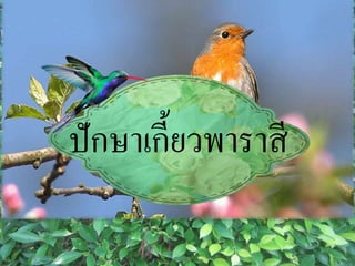 ปักษาเกี้ยวพาราสี
 