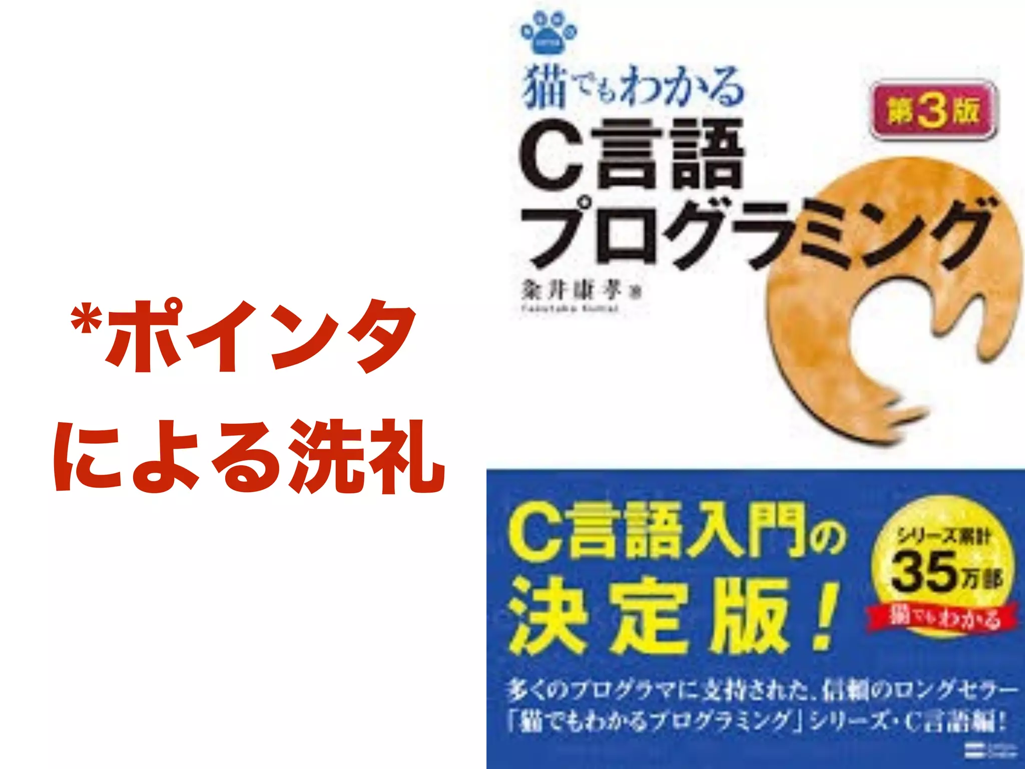 *ポインタ
による洗礼
 