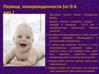 • Десневые валики имеют полукруглую
форму
• Нижняя челюсть находится позади
верхней в пределах 10-15 мм –
«младенческая ретрогнатия нижней
челюсти»
• Суставные бугорки выражены слабо, нижняя
челюсть свободно перемещается в
сагиттальном направлении
• В толще щек имеются плотные и четко
отграниченные скопления жира —
комочки Биша, или жировое тело щеки.
Они придают упругость щекам
новорожденного, что важно для сосания
• Твердое небо плоское, мягкое небо лежит
горизонтально
• Инфантильный тип глотания, при котором
язык упирается в губы, является нормой
Период новорожденности (от 0-6
мес.)
 