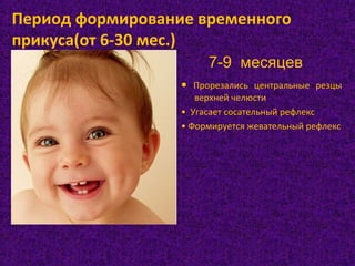 • Прорезались центральные резцы
верхней челюсти
• Угасает сосательный рефлекс
• Формируется жевательный рефлекс
7-9 месяцев
Период формирование временного
прикуса(от 6-30 мес.)
 