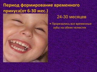 • Прорезались все временные
зубы на обеих челюстях
- 12 месяцев- 12 месяцев- 12 месяцев- 12 месяцев
24-30 месяцев
Период формирование временного
прикуса(от 6-30 мес.)
 