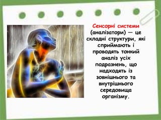 Будова сенсорних систем | PPT