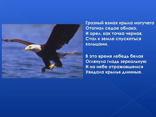 Грозный взмах крыла могучего
Отогнал седое облако,
И орел, как точка черная,
Стал к земле спускаться
кольцами.
В это время лебедь белая
Оглянула гладь зеркальную
И на небе отражавшемся
Увидала крылья длинные.
 