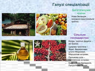 Галузі спеціалізації
Сільське
господарство:
● Копра, тропічні фрукти –
всі країни;
● Цукрова тростина –
Фіджі, Федеративні
штати Мікронезії,
Маршалові острови;
● Пальмова олія –
Соломонові острови;
● Кава – Нова Каледонія,
Папуа-Нова Гвінея;
Багатогалузеві
країни:
● Нова Зеландія
(аграрно-індустріальна
країна)
 