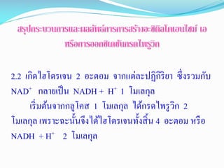 2.2 เกิดกไฮโดกรเจน 2 อะตอม จากแต่ละปฏิกิริยา ซึ่งรวมกับ
NAD+ กลายเป็น NADH + H+ 1 โมเลกุล
เริ่มต้นจากกลูโคส 1 โมเลกุล ไดก้กรดกไพรูวิก 2
โมเลกุล เพราะฉะนั้นจึงไดก้ไฮโดกรเจนทั้งสิ้น 4 อะตอม หรือ
NADH + H+ 2 โมเลกุล
 