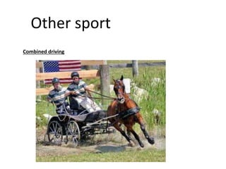 Other sport
Combined driving
 