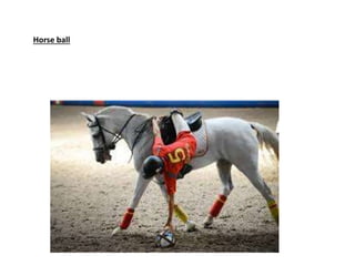 Horse ball
 