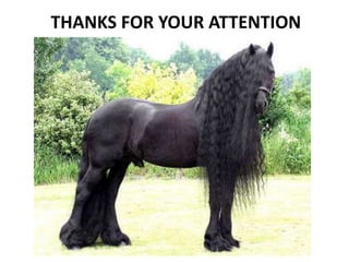 THANKS FOR YOUR ATTENTION
 