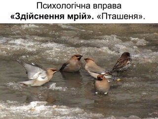 Психологічна вправа
«Здійснення мрій». «Пташеня».
 