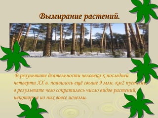 Вымирание растений.Вымирание растений.
В результате деятельности человека к последней
четверти XX в. появилось ещё свыше 9 млн. км2 пустынь,
в результате чего сократилось число видов растений, а
некоторые из них вовсе исчезли.
 