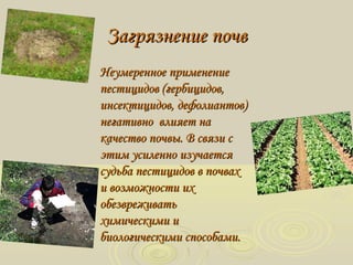 Загрязнение почвЗагрязнение почв
Неумеренное применениеНеумеренное применение
пестицидов (гербицидов,пестицидов (гербицидов,
инсектицидов, дефолиантов)инсектицидов, дефолиантов)
негативнонегативно влияет навлияет на
качество почвы. В связи скачество почвы. В связи с
этим усиленно изучаетсяэтим усиленно изучается
судьба пестицидов в почвахсудьба пестицидов в почвах
и возможности ихи возможности их
обезвреживатьобезвреживать
химическими ихимическими и
биологическими способами.биологическими способами.
 