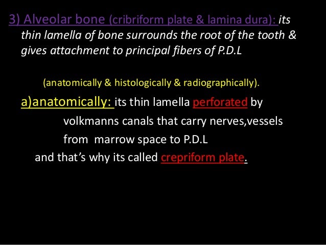 alveolar dead space fraction calculation alveolar dead space fraction calculation