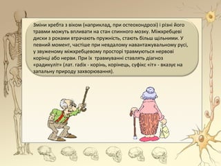 Зміни хребта з віком (наприклад, при остеохондрозі) і різні його
травми можуть впливати на стан спинного мозку. Міжхребцеві
диски з роками втрачають пружність, стають більш щільними. У
певний момент, частіше при невдалому навантажувальному русі,
у звуженому міжхребцевому просторі травмуються нервові
корінці або нерви. При їх травмуванні ставлять діагноз
«радикуліт» (лат. radix - корінь, корінець, суфікс «іт» - вказує на
запальну природу захворювання).
 