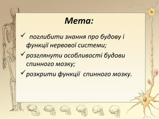 Мета:
 поглибити знання про будову і
функції нервової системи;
розглянути особливості будови
спинного мозку;
розкрити функції спинного мозку.
 