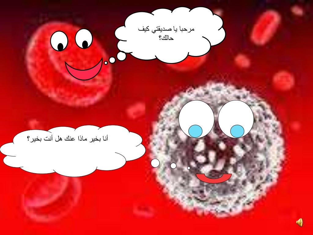 مكونات الدم