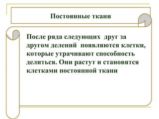 Постоянные ткани
После ряда следующих друг за
другом делений появляются клетки,
которые утрачивают способность
делиться. Они растут и становятся
клетками постоянной ткани
 