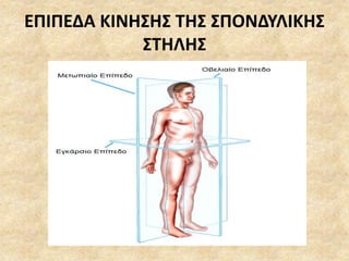 ΕΠΙΠΕΔΑ ΚΙΝΗΣΗΣ ΤΗΣ ΣΠΟΝΔΥΛΙΚΗΣ
ΣΤΗΛΗΣ
 