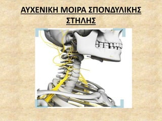 ΑΥΧΕΝΙΚΗ ΜΟΙΡΑ ΣΠΟΝΔΥΛΙΚΗΣ
ΣΤΗΛΗΣ
 