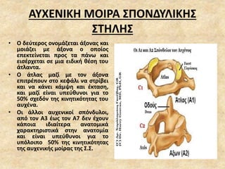 ΑΥΧΕΝΙΚΗ ΜΟΙΡΑ ΣΠΟΝΔΥΛΙΚΗΣ
ΣΤΗΛΗΣ
• Ο δεύτερος ονομάζεται άξονας και
μοιάζει με άξονα ο οποίος
επεκτείνεται προς τα πάνω και
εισέρχεται σε μια ειδική θέση του
άτλαντα.
• Ο άτλας μαζί με τον άξονα
επιτρέπουν στο κεφάλι να στρίβει
και να κάνει κάμψη και έκταση,
και μαζί είναι υπεύθυνοι για το
50% σχεδόν της κινητικότητας του
αυχένα.
• Οι άλλοι αυχενικοί σπόνδυλοι,
από τον Α3 έως τον Α7 δεν έχουν
κάποια ιδιαίτερα ανατομικά
χαρακτηριστικά στην ανατομία
και είναι υπεύθυνοι για το
υπόλοιπο 50% της κινητικότητας
της αυχενικής μοίρας της Σ.Σ.
 
