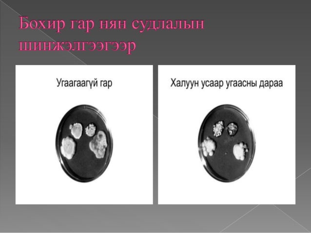 гарын эрүүл ахуй ба гар угаалт хичээл