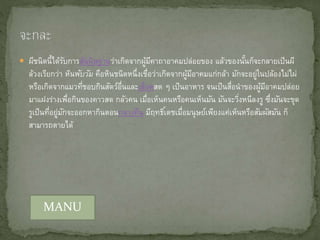  ผีชนิดนี้ได้รับการสันนิษฐานว่าเกิดจากผู้มีคาถาอาคมปล่อยของ แล้วของนั้นก็จะกลายเป็นผี
ล้วงเรียกว่า หินพับวัม คือหินชนิดหนึ่งเชื่อว่าเกิดจากผู้มีอาคมแก่กล้า มักจะอยู่ในปล้องไม่ไผ่
หรือเกิดจากแมวที่ชอบกินสัตว์อื่นและเลือดสด ๆ เป็นอาหาร จนเป็นสื่อนาของผู้มีอาคมปล่อย
มาแฝงร่างเพื่อกินของคาวสด กลัวคน เมื่อเห็นคนหรือคนเห็นมัน มันจะวิ่งหนีลงรู ซึ่งมันจะขุด
รูเป็นที่อยู่มักจะออกหากินตอนกลางคืน มีฤทธิ์เดชเมื่อมนุษย์เพียงแค่เห็นหรือสัมผัสมัน ก็
สามารถตายได้
MANU
 