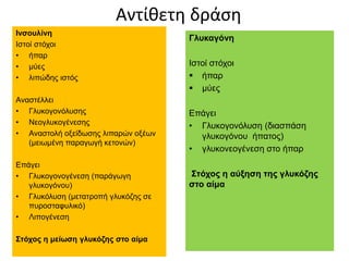 Αντίθετη δράση
Ινσουλίνη
Ιστοί στόχοι
• ήπαρ
• μύες
• λιπώδης ιστός
Αναστέλλει
• Γλυκογονόλυσης
• Νεογλυκογένεσης
• Αναστολή οξείδωσης λιπαρών οξέων
(μειωμένη παραγωγή κετονών)
Επάγει
• Γλυκογονογένεση (παράγωγη
γλυκογόνου)
• Γλυκόλυση (μετατροπή γλυκόζης σε
πυροσταφυλικό)
• Λιπογένεση
Στόχος η μείωση γλυκόζης στο αίμα
Γλυκαγόνη
Ιστοί στόχοι
 ήπαρ
 μύες
Επάγει
• Γλυκογονόλυση (διασπάση
γλυκογόνου ήπατος)
• γλυκονεογένεση στο ήπαρ
Στόχος η αύξηση της γλυκόζης
στο αίμα
 