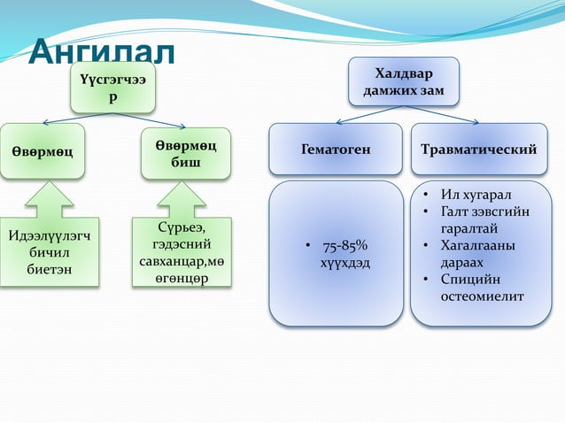 ясны идээт үрэвсэл | PPT