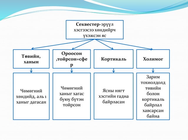 ясны идээт үрэвсэл | PPT