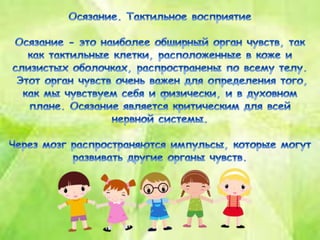 презентация ощущения