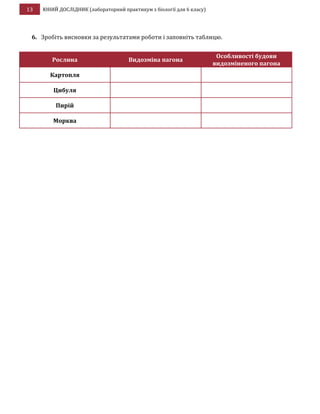 13 ЮНИЙ ДОСЛІДНИК (лабораторний практикум з біології для 6 класу)
6. Зробіть висновки за результатами роботи і заповніть таблицю.
Рослина Видозміна пагона
Особливості будови
видозміненого пагона
Картопля
Цибуля
Пирій
Морква
 