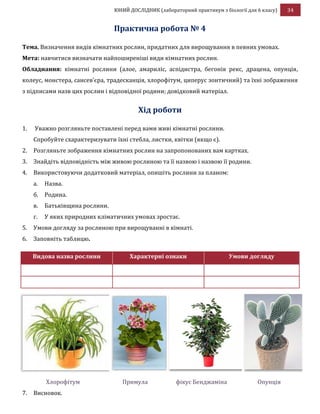 ЮНИЙ ДОСЛІДНИК (лабораторний практикум з біології для 6 класу) 34
Практична робота № 4
Тема. Визначення видів кімнатних рослин, придатних для вирощування в певних умовах.
Мета: навчитися визначати найпоширеніші види кімнатних рослин.
Обладнання: кімнатні рослини (алое, амариліс, аспідистра, бегонія рекс, драцена, опунція,
колеус, монстера, сансев’єра, традесканція, хлорофітум, циперус зонтичний) та їхні зображення
з підписами назв цих рослин і відповідної родини; довідковий матеріал.
Хід роботи
1. Уважно розгляньте поставлені перед вами живі кімнатні рослини.
Спробуйте схарактеризувати їхні стебла, листки, квітки (якщо є).
2. Розгляньте зображення кімнатних рослин на запропонованих вам картках.
3. Знайдіть відповідність між живою рослиною та її назвою і назвою її родини.
4. Використовуючи додатковий матеріал, опишіть рослини за планом:
а. Назва.
б. Родина.
в. Батьківщина рослини.
г. У яких природних кліматичних умовах зростає.
5. Умови догляду за рослиною при вирощуванні в кімнаті.
6. Заповніть таблицю.
Видова назва рослини Характерні ознаки Умови догляду
Хлорофітум Примула фікус Бенджаміна Опунція
7. Висновок.
 