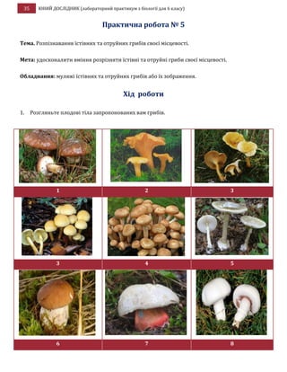 35 ЮНИЙ ДОСЛІДНИК (лабораторний практикум з біології для 6 класу)
Практична робота № 5
Тема. Розпізнавання їстівних та отруйних грибів своєї місцевості.
Мета: удосконалити вміння розрізняти їстівні та отруйні гриби своєї місцевості.
Обладнання: муляжі їстівних та отруйних грибів або їх зображення.
Хід роботи
1. Розгляньте плодові тіла запропонованих вам грибів.
1 2 3
3 4 5
6 7 8
 