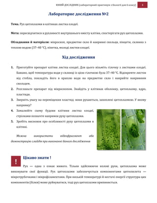 ЮНИЙ ДОСЛІДНИК (лабораторний практикум з біології для 6 класу) 4
Лабораторне дослідження №2
Тема. Рух цитоплазми в клітинах листка елодеї.
Мета: пересвідчитися в рухливості внутрішнього вмісту клітин, спостерігати рух цитоплазми.
Обладнання й матеріали: мікроскоп, предметне скло й накривні скельця, пінцети, склянка з
теплою водою (37–40 °С), піпетка, молоді листки елодеї.
Хід дослідження
1. Приготуйте препарат клітин листка елодеї. Для цього візьміть гілочку з листками елодеї.
Бажано, щоб температура води у склянці із цією гілочкою була 37–40 °С. Відокремте листок
від стебла, покладіть його в краплю води на предметне скло і накрийте накривним
скельцем.
2. Розгляньте препарат під мікроскопом. Знайдіть у клітинах оболонку, цитоплазму, ядро,
пластиди.
3. Зверніть увагу на переміщення пластид: вони рухаються, захоплені цитоплазмою. У якому
напрямку?
4. Замалюйте схему будови клітини листка елодеї,
стрілками позначте напрямок руху цитоплазми.
5. Зробіть висновок про особливості руху цитоплазми в
клітині.
Можна використати відеофрагмент або
демонстрацію слайдів при виконанні даного дослідження
Цікаво знати !
Рух — одна з ознак живого. Тільки здійснюючи колові рухи, цитоплазма може
виконувати свої функції. Рух цитоплазми забезпечується компонентами цитоскелета —
мікротрубочками і мікрофіламентами. При низькій температурі й нестачі енергії структура цих
компонентів (білки) може руйнуватися, тоді рух цитоплазми припиняється.
!
 